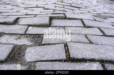 Plancher en pavés surélevé Banque D'Images