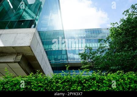 Bâtiment écologique durable. Bâtiment écologique dans la ville moderne. Immeuble de bureaux en verre durable avec arbre pour réduire le dioxyde de carbone. Bureau avec environnement vert. Bâtiment d'entreprise réduire le CO2. Banque D'Images