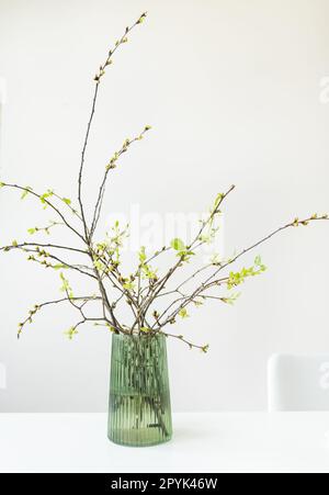 Jeunes branches fleuries d'un cerisier dans un vase vert en verre sur une table blanche à l'intérieur. Banque D'Images
