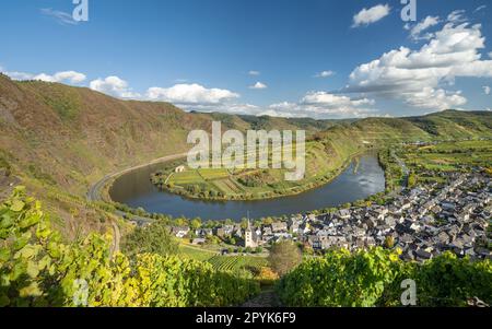 Bremm avec boucle de la Moselle, Allemagne Banque D'Images