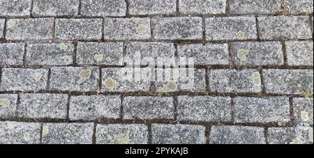 Les carreaux de rue sont rectangulaires. Rue pavée ou trottoir, décoration de rue de ville dans le style rétro ou vintage. Mur de pierre grise ou de brique Banque D'Images