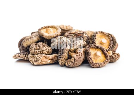 Champignons shiitake séchés isolé sur fond blanc. Banque D'Images