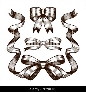 Ensemble de boucles dessinées à la main. Cadre de mariage vintage avec ruban. Illustration vectorielle Illustration de Vecteur