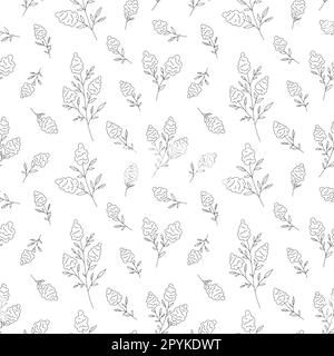 Muscari raisin jacinthe fleur sans couture motif ligne noire. Fleur mi-printemps délicat contour imprimer plante sauvage prairie herbe florale branche tissu textile papier peint enveloppe imprimé fond blanc Illustration de Vecteur