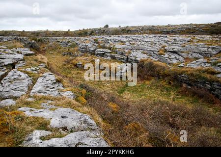 grand chenal coupé à travers le pavé calcaire par l'eau et l'érosion dans le comté de burren clare république d'irlande Banque D'Images