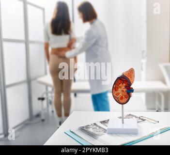 Traitement des maladies rénales à l'urologie. Urologue palpation de la femme dos avec douleur rénale pendant la consultation à la clinique médicale Banque D'Images