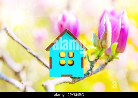 Modèle de maison miniature bleu assis sur une branche au milieu des bourgeons de magnolia rose dans un jardin serein avec des rayons de soleil qui brillent du coin supérieur gauche. Création d Banque D'Images