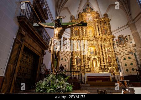 Santísimo Cristo de Medinaceli , madera policromada, siglo XVI, Colegiata de Nuestra Señora de la Asunción, gótico tardío, Medinaceli, Soria, comun Banque D'Images