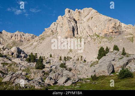 Marmitou, barranco de Anaye, alta ruta pirenaica, región de Aquitania, departamento de Pirineos Atlánticos, Francia Banque D'Images