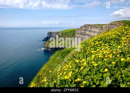 Ireland Cliffs of Moher paysage Banque D'Images