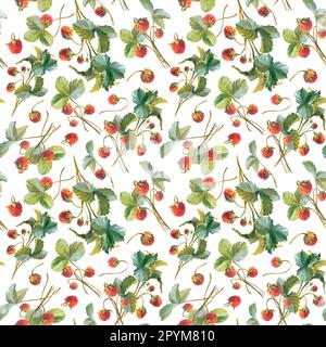 Motif fraise sans couture avec illustrations aquarelle de baies, de feuilles. Illustration des fraises, des baies, des saveurs de fraise. Banque D'Images