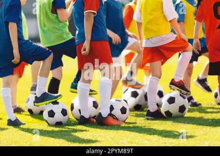 Formation de football pour les petits enfants de l'école. Groupe d'enfants avec des ballons de football en classe d'entraînement. Les garçons et les filles s'amusent à la pratique sportive o Banque D'Images