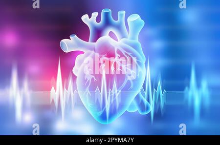 Cœur humain. 3D illustration sur un fond médical Banque D'Images