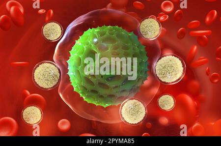 Les leucocytes attaquent le virus. Immunité du corps. Lutte contre la pneumonie. 3D illustration de la recherche médicale Banque D'Images