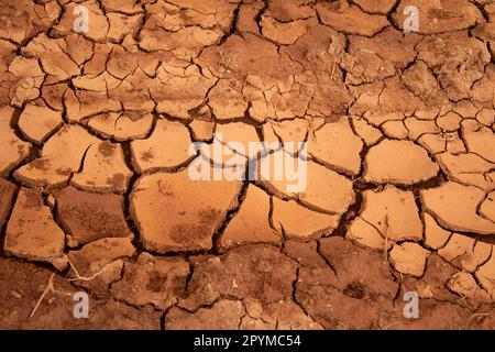 Goiania, Goias, Brésil – 30 avril 2023 : texture de terre sèche et fissurée. Concept du manque de pluie et de l'impact sur l'environnement. Banque D'Images