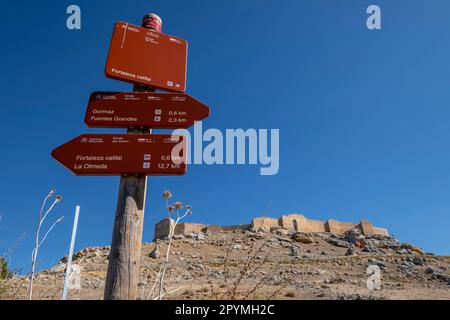 camino del CID, Senda del Duero, Gormaz, Soria, Comunidad Autónoma de Castilla, Espagne, Europe Banque D'Images