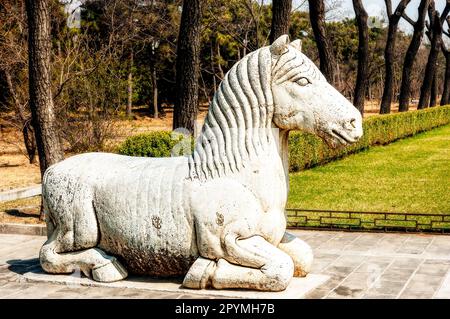 Une ancienne statue en pierre blanche d'un cheval à genoux le long de la voie sacrée bien entretenue, une route spirituelle menant aux tombes de Ming Banque D'Images