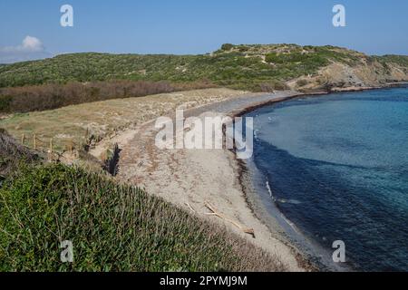 Plage de Tortuga, Parc naturel de s'Albufera des Grau, Minorque, Iles Baléares, Espagne Banque D'Images