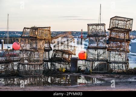 Cages à crabe et filets de pêche, Torquay Harbour, Torbay, Devon, Angleterre, Europe Banque D'Images