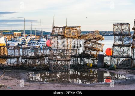 Cages à crabe et filets de pêche, Torquay Harbour, Torbay, Devon, Angleterre, Europe Banque D'Images