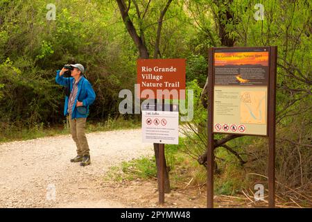 Sentier naturel du Rio Grande Village, parc national de Big Bend, Texas Banque D'Images