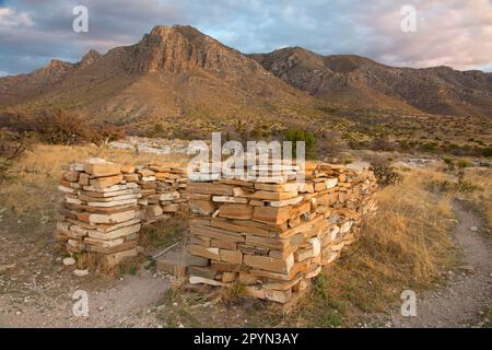 Ruines de Butterfield Stage Station, parc national des montagnes Guadalupe, Texas Banque D'Images