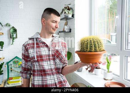 Grand échinocactus Gruzoni dans les mains de l'homme à l'intérieur près de la fenêtre sur le rebord de la fenêtre des plantes domestiques. Production végétale à domicile Banque D'Images