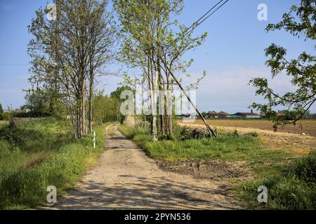 Sentier de terre avec une barre au début de celle-ci et un mât radio en arrière-plan derrière les arbres lors d'une journée ensoleillée dans la campagne italienne Banque D'Images