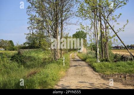 Sentier de terre avec une barre au début de celle-ci et un mât radio en arrière-plan derrière les arbres lors d'une journée ensoleillée dans la campagne italienne Banque D'Images