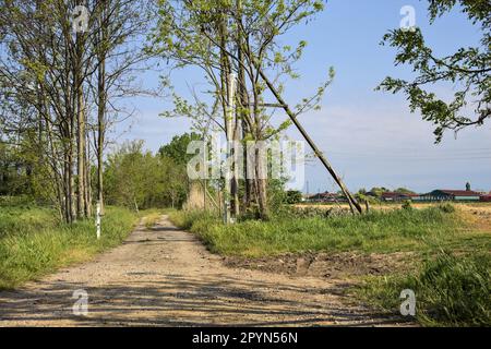 Sentier de terre avec une barre au début de celle-ci et un mât radio en arrière-plan derrière les arbres lors d'une journée ensoleillée dans la campagne italienne Banque D'Images