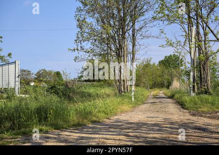 Sentier de terre avec une barre au début de celle-ci et un mât radio en arrière-plan derrière les arbres lors d'une journée ensoleillée dans la campagne italienne Banque D'Images