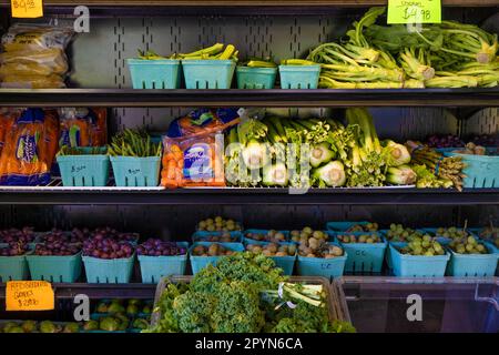 Bryson, Caroline du Nord, Etats-Unis - 19 avril 2023: Darnell Farms marché en plein air avec des étagères de fruits frais et légumes à vendre. Banque D'Images