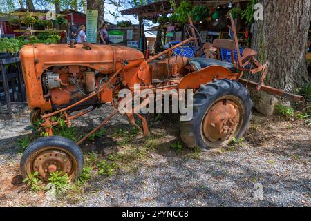 Bryson, Caroline du Nord, États-Unis - 19 avril 2023 : vieux tracteur stationné à côté d'un arbre sur le marché en plein air de Darnells Farm. Banque D'Images