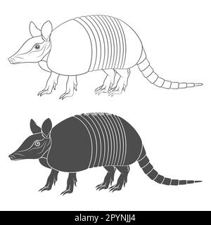 Jeu d'illustrations noir et blanc avec un armadillo. Objets vectoriels isolés sur fond blanc. Illustration de Vecteur