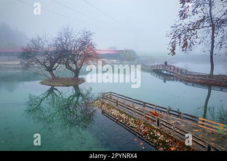 Homme solitaire à Vryssi Tyrnavou, un petit lac pittoresque et une zone de loisirs agréable à proximité de la ville de Tyrnavos, Larissa, Thessaly, Grèce. Banque D'Images