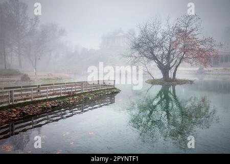 Photo prise à Vryssi Tyrnavou, un petit lac pittoresque et une zone de loisirs agréable à proximité de la ville de Tyrnavos, Larissa, Thessalie, Grèce. Banque D'Images