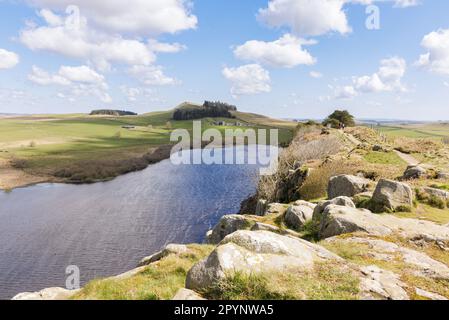 Northumberland, Royaume-Uni - avril 2023 : sur le chemin longue distance du mur d'Hadrien à Highshield Crags, au-dessus de Crag Lough, deux marcheurs se dirigent vers l'est en direction de Hotbank. Banque D'Images