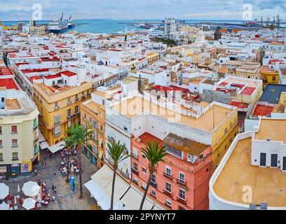 Le logement dense de la vieille ville avec une vue sur les quartiers résidentiels, les toits rouges et le port de Cadix avec paquebots de croisière sur le fond, Costa de la Luz, Spa Banque D'Images