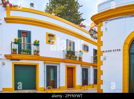 Maisons historiques sur la Calle Diego Nino, décorées avec des marigolds dans des pots sur les balcons, El Puerto, Espagne Banque D'Images