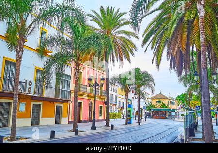 Les maisons d'époque colorées et les grands palmiers verts de l'Avenida Micaela Aramburu de Mora, El Puerto, Espagne Banque D'Images