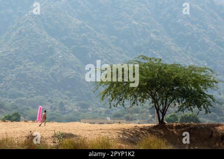 Candyfloss Seller, Pushkar, Rajasthan, Inde Banque D'Images