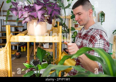 L'homme arrose des plantes de sa collection d'espèces rares d'un arrosoir, cultivé avec amour sur des étagères à l'intérieur de la maison. Usine de base gr Banque D'Images