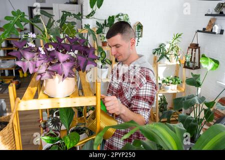 L'homme arrose des plantes de sa collection d'espèces rares d'un arrosoir, cultivé avec amour sur des étagères à l'intérieur de la maison. Usine de base gr Banque D'Images