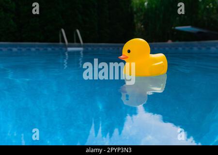 Vue à angle bas d'un canard en caoutchouc jaune flottant dans la piscine extérieure Banque D'Images