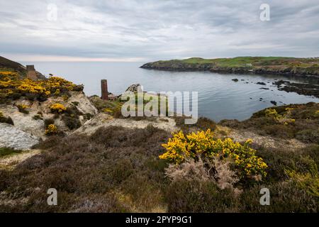 Vieilles briques vues depuis le chemin de la côte à Porth Wen près d'Amlwch, Anglesey, au nord du pays de Galles. Banque D'Images