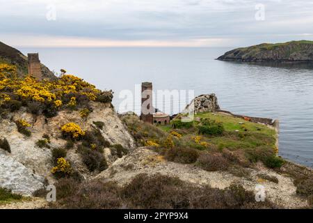 Vieilles briques vues depuis le chemin de la côte à Porth Wen près d'Amlwch, Anglesey, au nord du pays de Galles. Banque D'Images