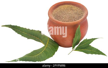 Feuilles de néem médicinales avec poudre dans un bol Banque D'Images