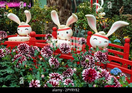 Groupe de lapins adorables et mignons de style caricature émergeant de fleurs dans des jardins au bord de la baie Banque D'Images