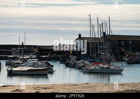 Bateaux amarrés dans le port de Lyme Regis, Lyme Regis, Dorset Banque D'Images