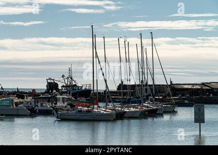 Bateaux amarrés dans le port de Lyme Regis, Lyme Regis, Dorset Banque D'Images